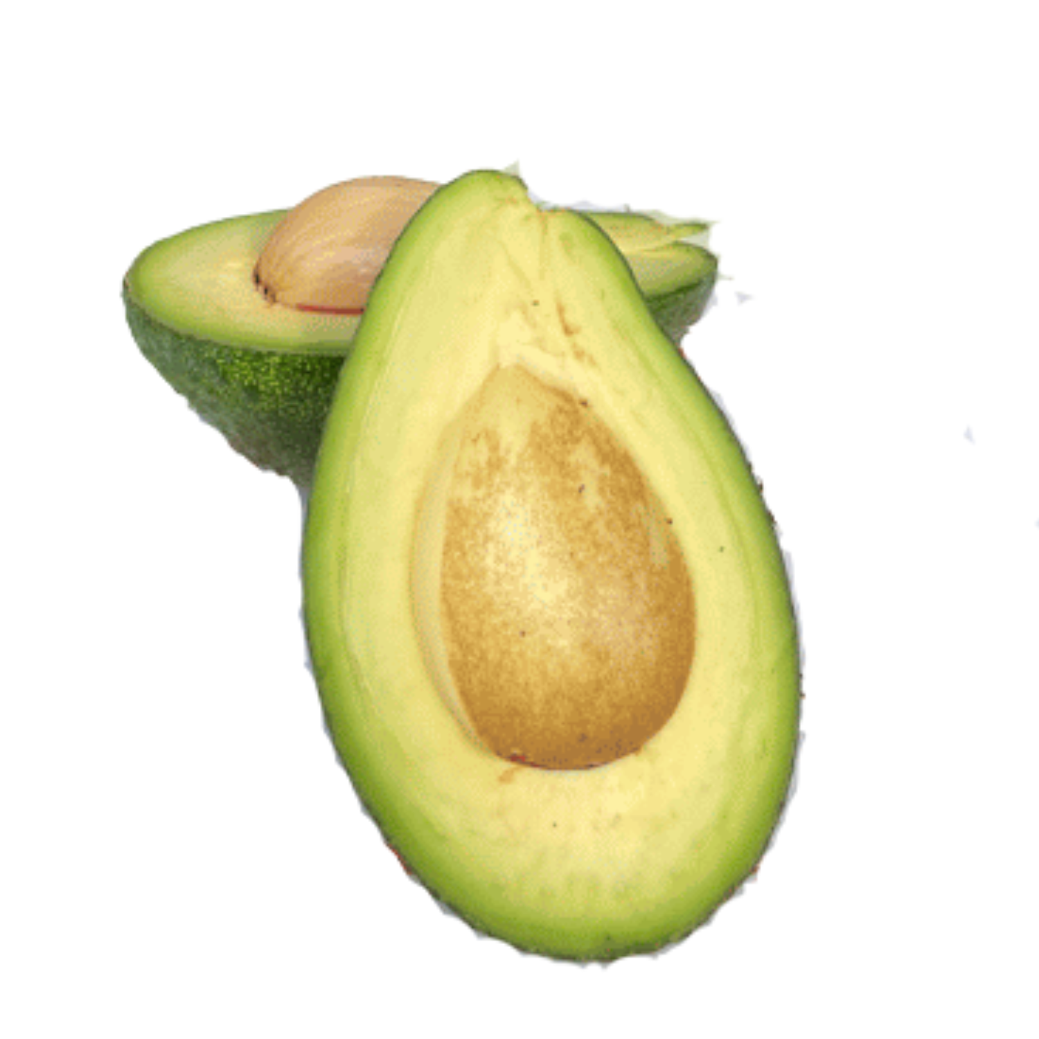 Avocado Hass Di Sicilia Lamariagnese