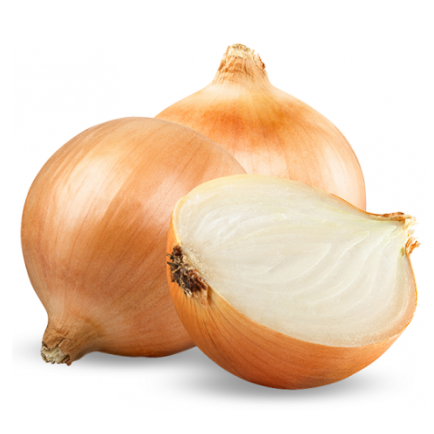 Cipolle dorate siciliane lamariagnese