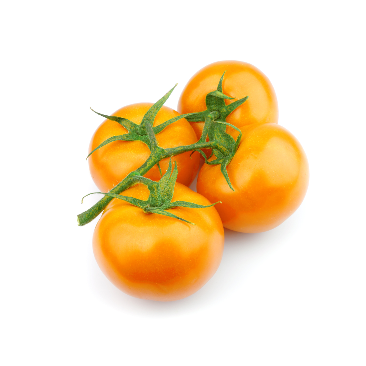 Pomodoro datterino giallo di sicilia lamariagnese
